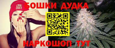 крисы Будённовск